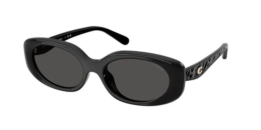 Black sunglasses with logo detail for eye protection and style.