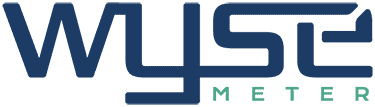 Wyse Meter Solutions logo