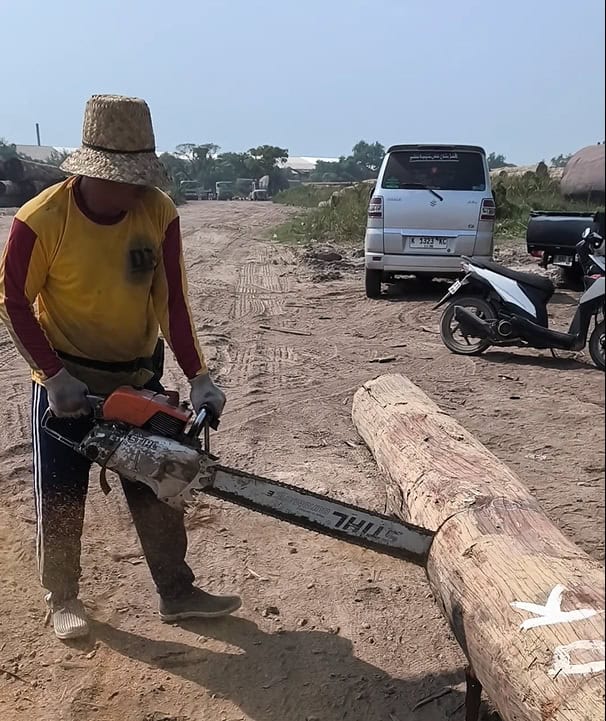 cutting ulin wood cutting indonesian ironwood or ulin