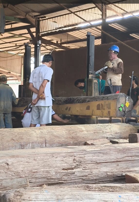 sawing indonesian ironwood sawing indonesian ironwood