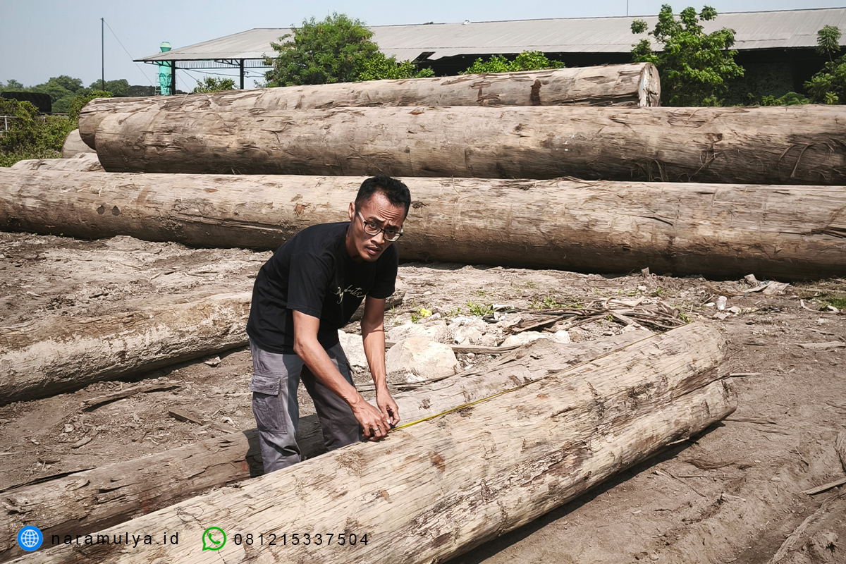 proses pembahanan furniture kayu ulin
