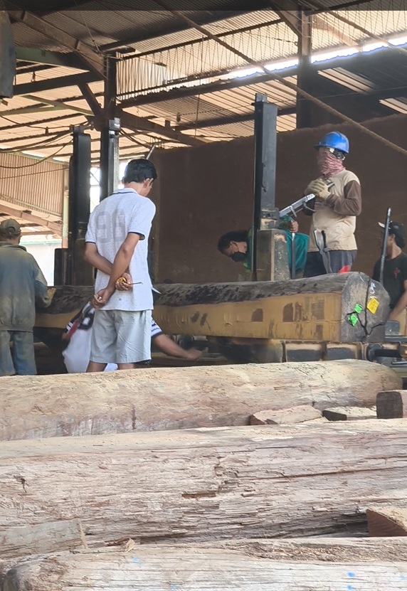 proses gergaji papan kayu ulin