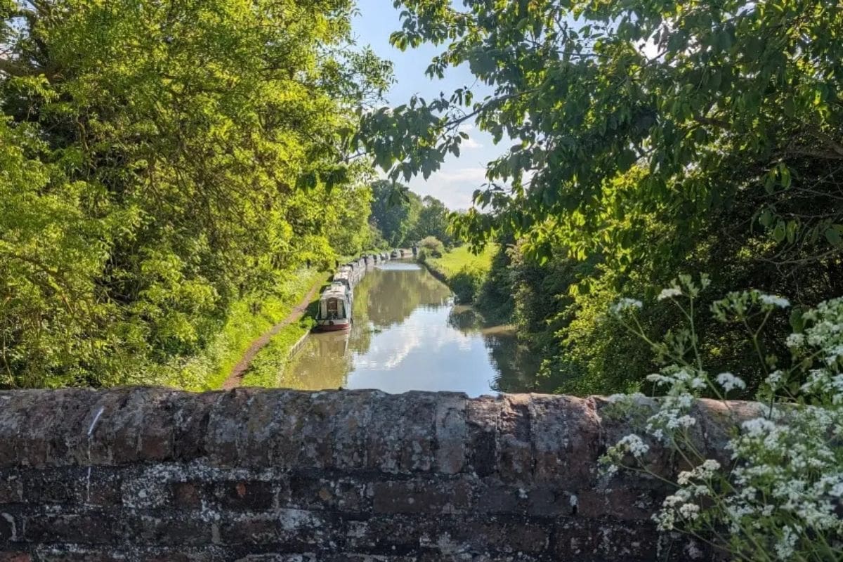 Narrowboats on a peaceful canal surrounded by lush greenery.