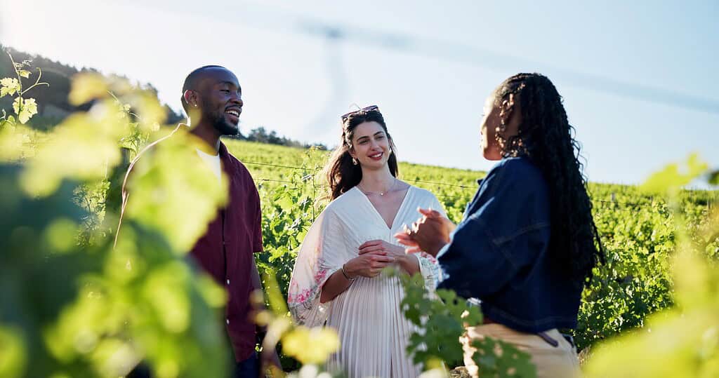 Belle Meade Winery Tours