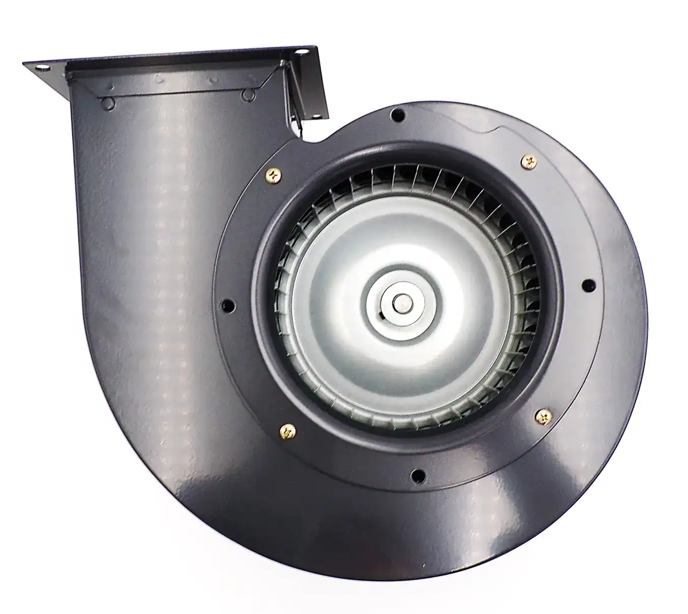 NBK-20517 BLOWER MOTOR 230V - Image 5