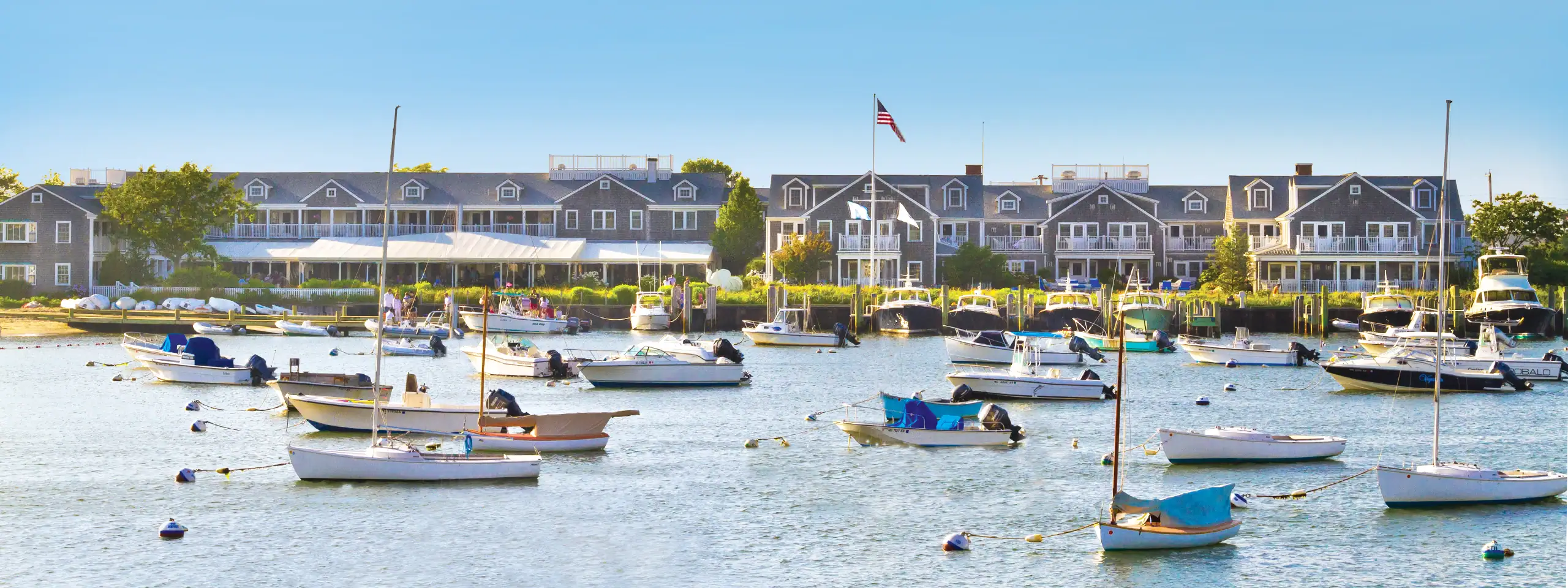 Boats docked in a marina with waterfront houses in the background.