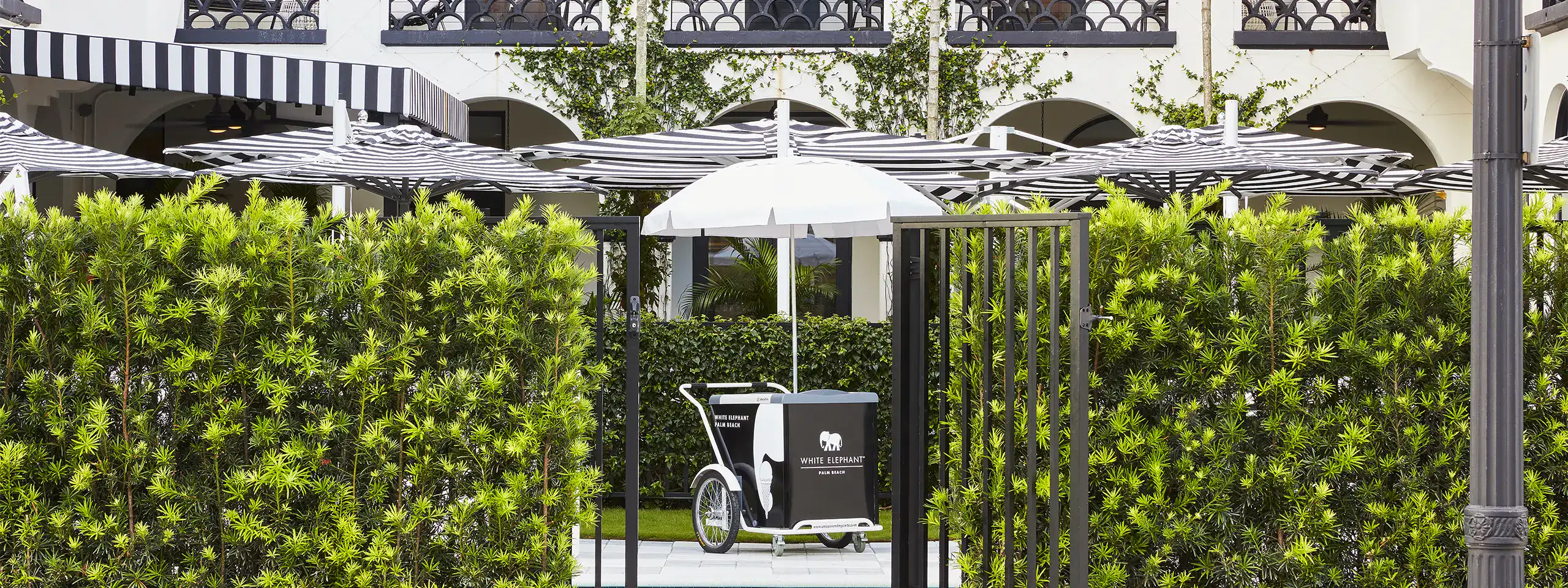 Bike rack with umbrella and green hedge in an outdoor urban setting.