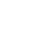 Sparkle Icon White