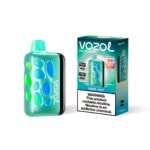 Vozol Rave 40000 Cool Mint
