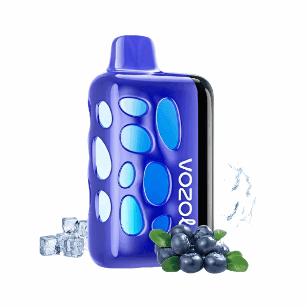 Vozol Rave 40000 Blueberry Ice