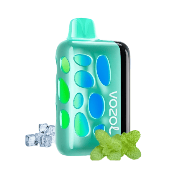 Vozol Rave 40000 Cool Mint