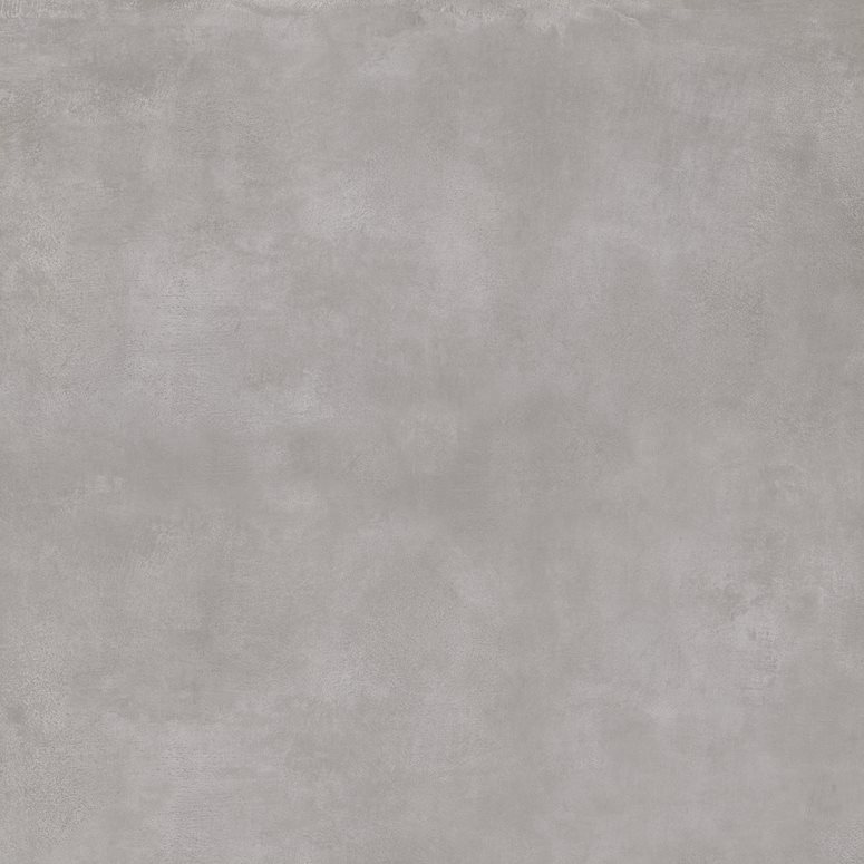 OYSTER GREY 60x60