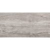 Dakota Gray 30×60 01