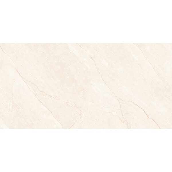 CARNO IVORY CARVING 60x120