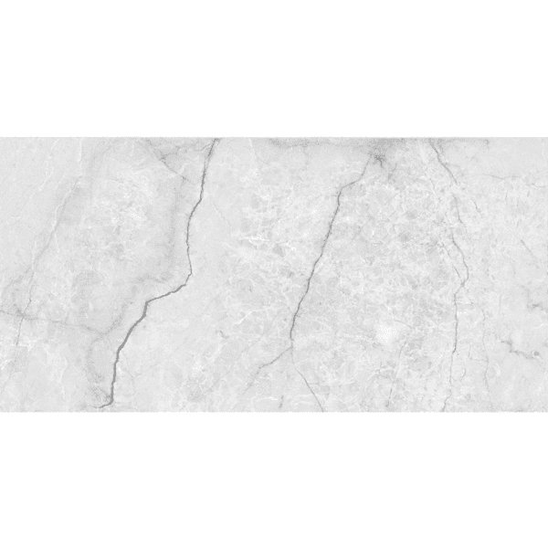 CHAMPAGNE GREY 30x60