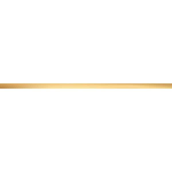 WALL STRIP STEEL GOLD 4 POL 74,8x1,5