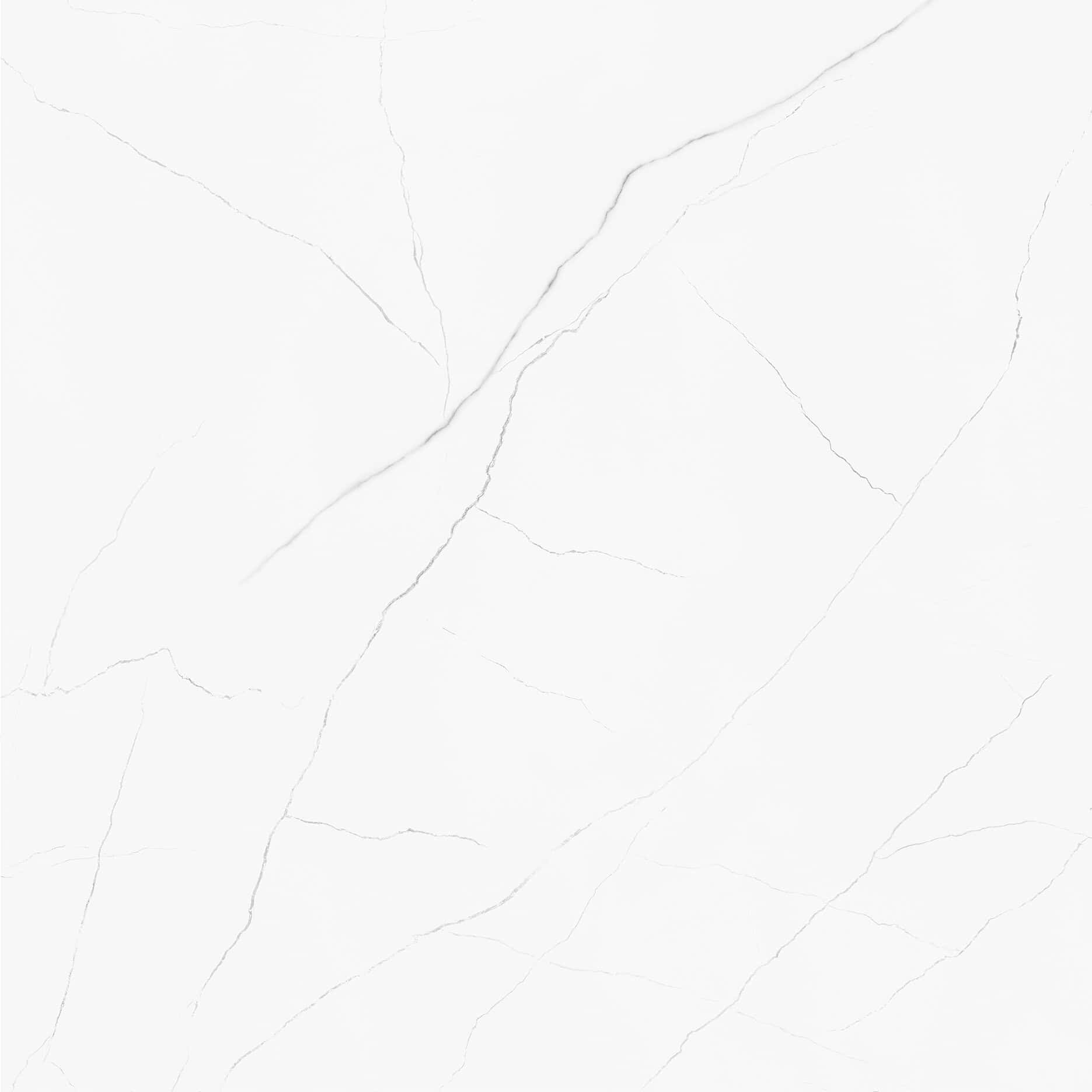 ELEGANCE LIGHT GREY 60x60