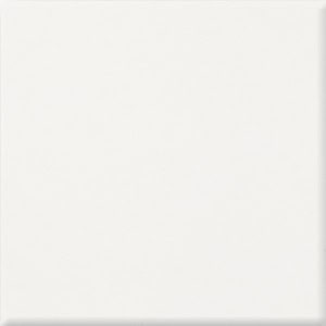 PASTEL BIALY 20x20