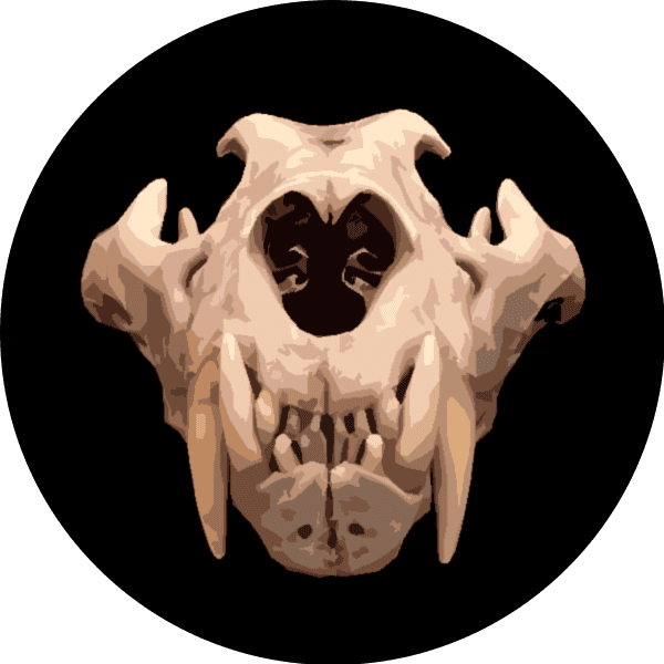 A detailed illustration of an animal skull, highlighting its unique features, crafted in a digital art style for artistic and decorative purposes.