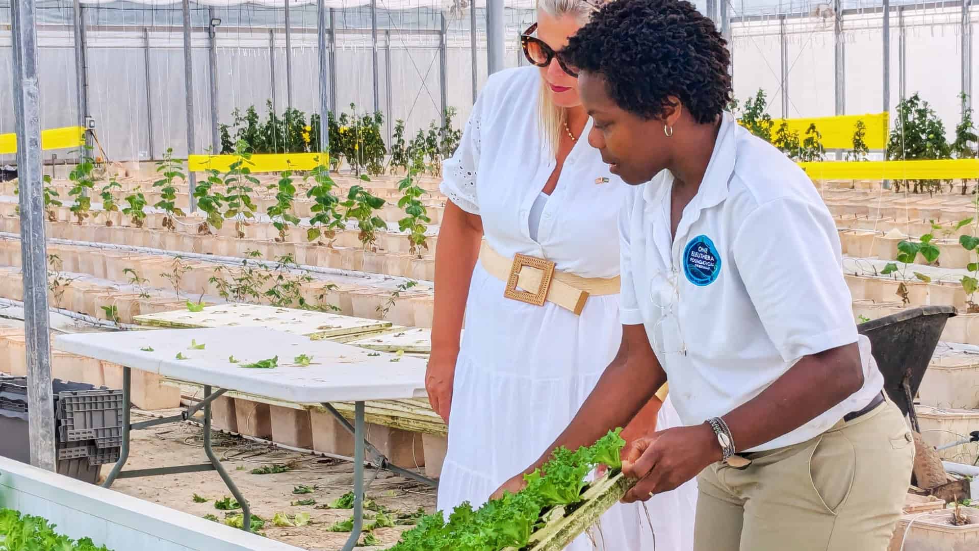 US Chargé d’Affaires Kimberly Furnish visits Eleuthera