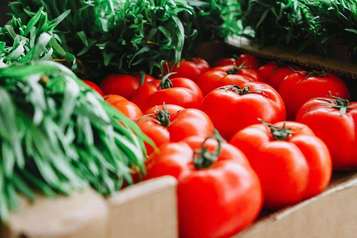 Crop Production Mgmt