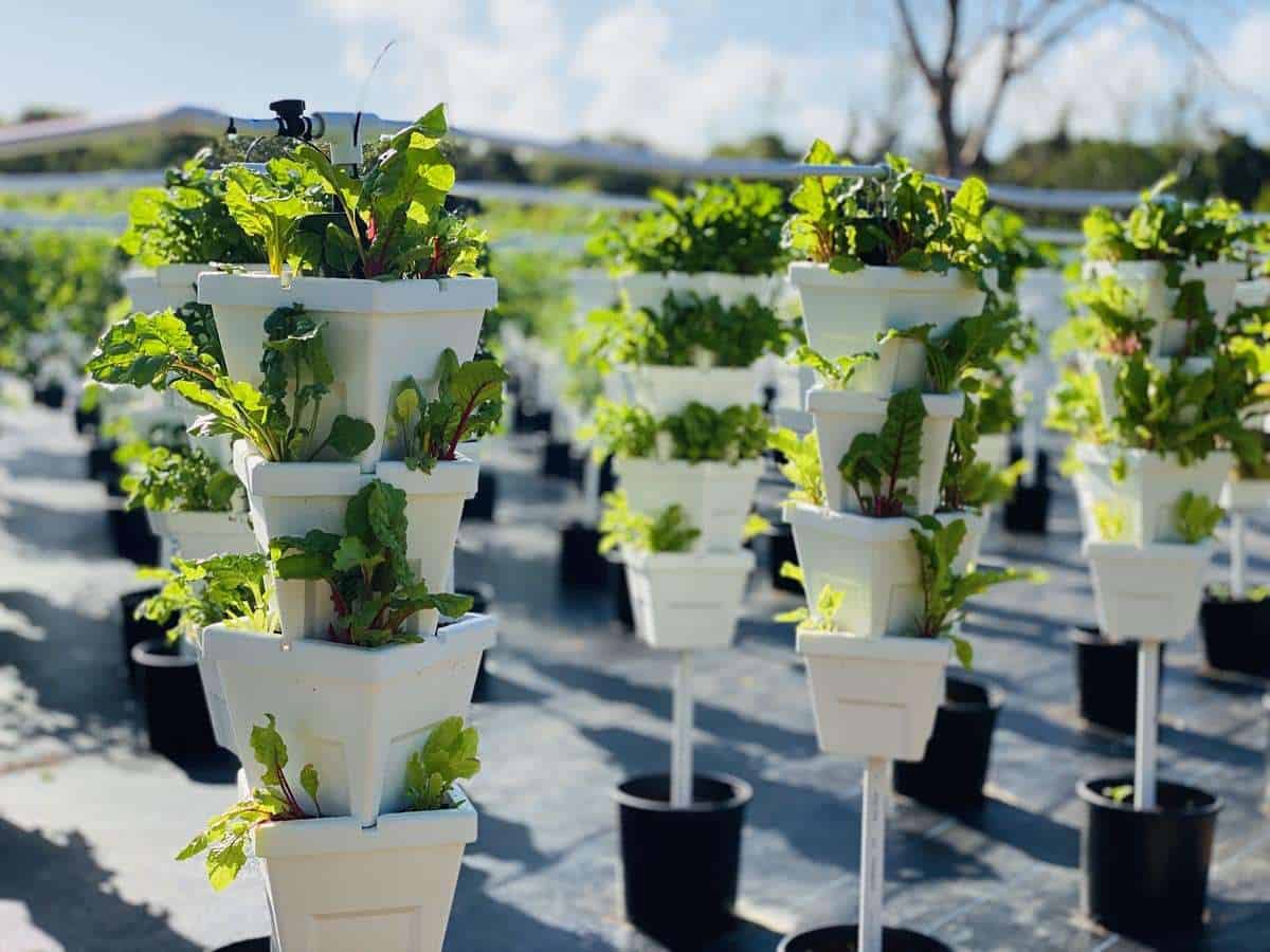 Hydroponics