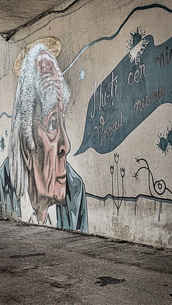 Strada Cuza Vodă iasi Pasajul Emil Brumaru