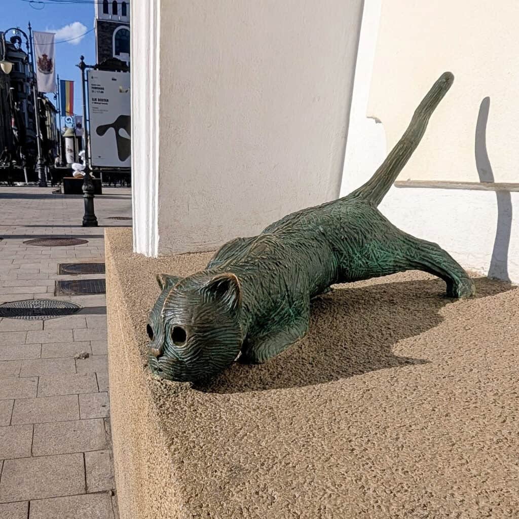 cat sculpture Alexandru Lapusneanu Street iasi