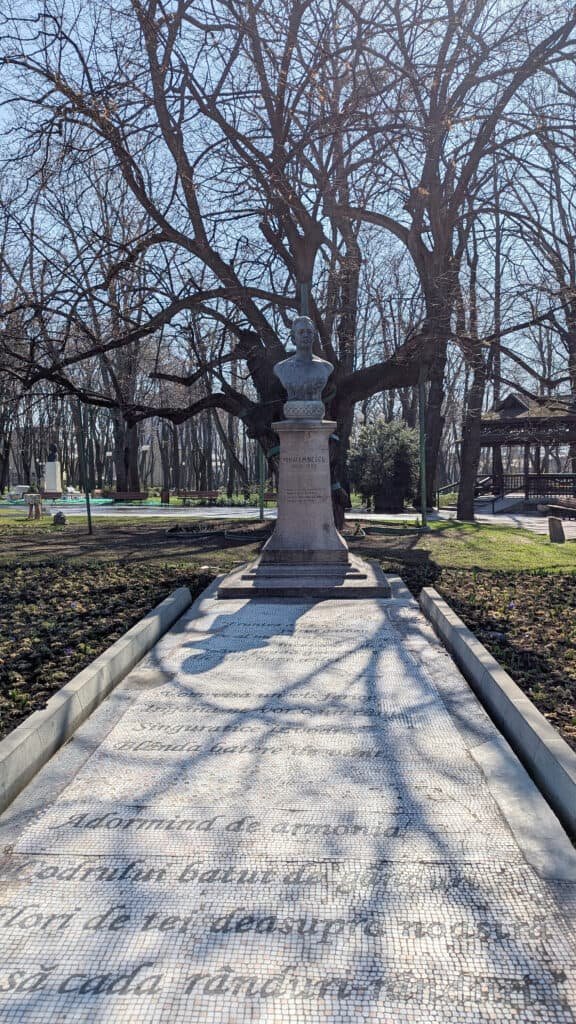 linden tree iasi
