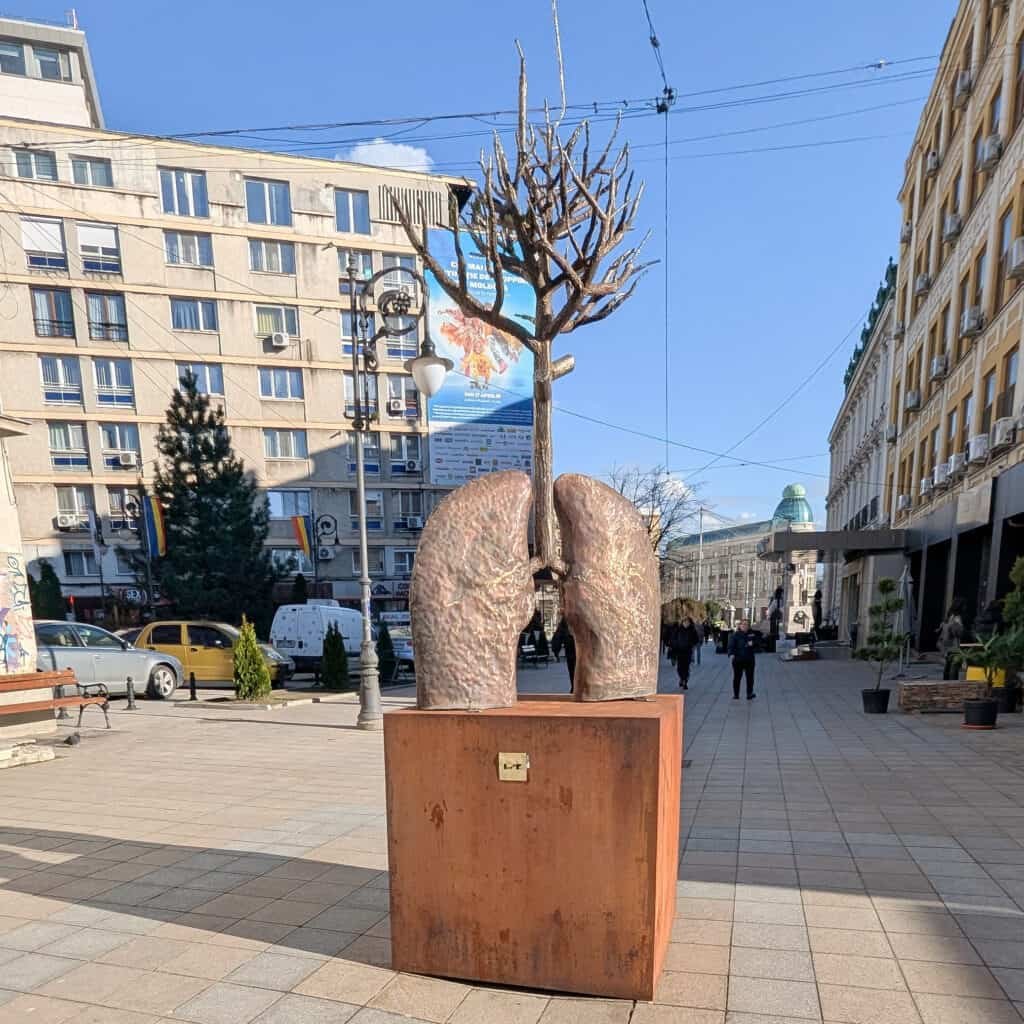 lungs scultpure Alexandru Lapusneanu Street Iasi