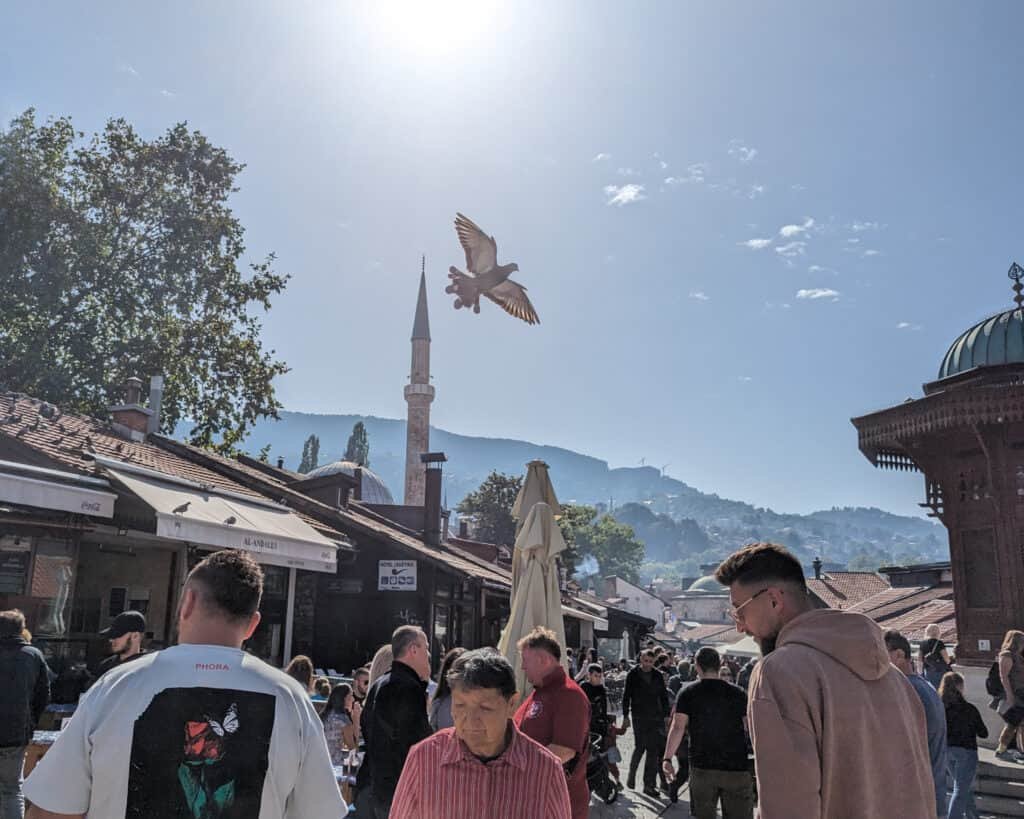 Sebilj fountain and flying pigeon in ‘Pigeon Square’