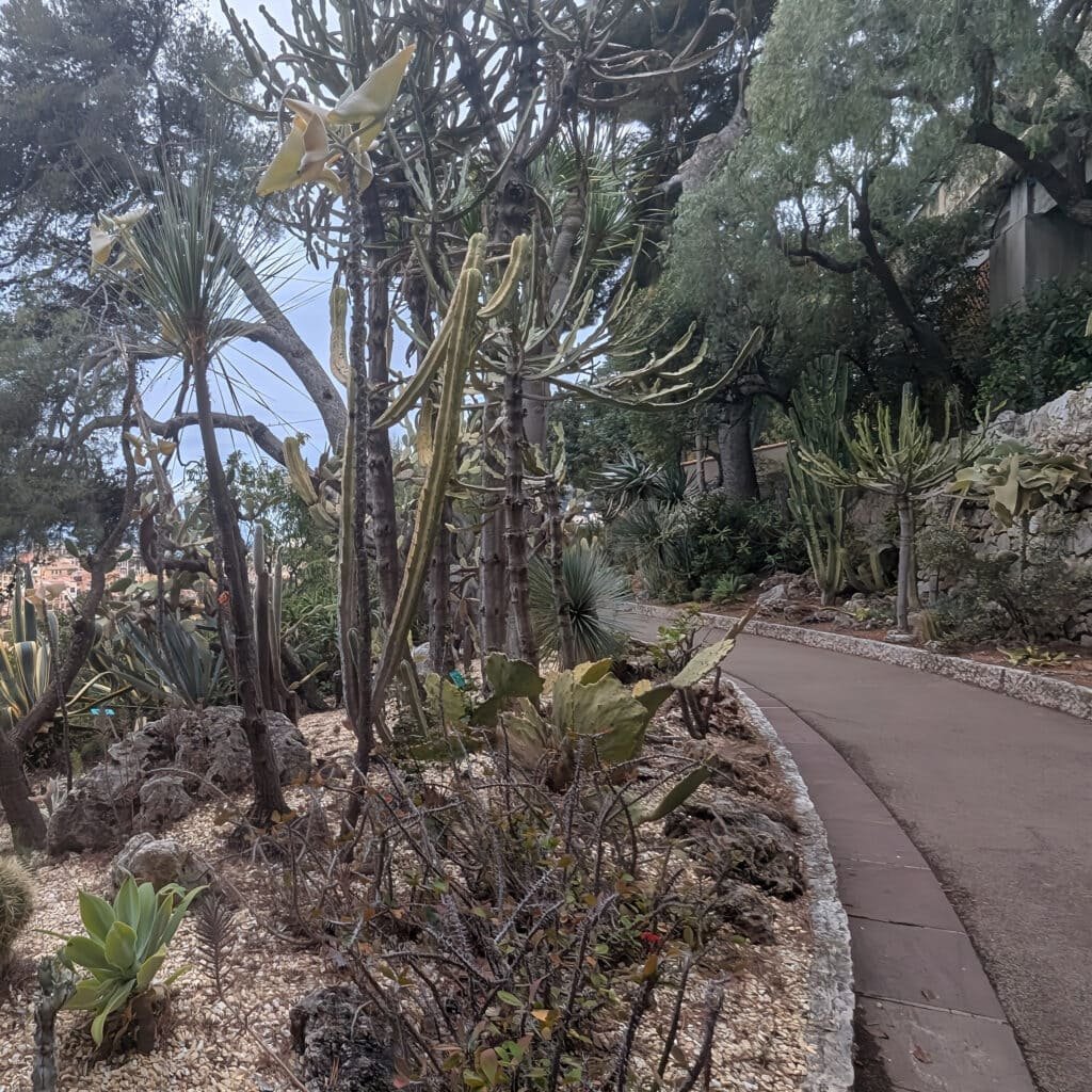 walking through the Jardins Saint-Martin