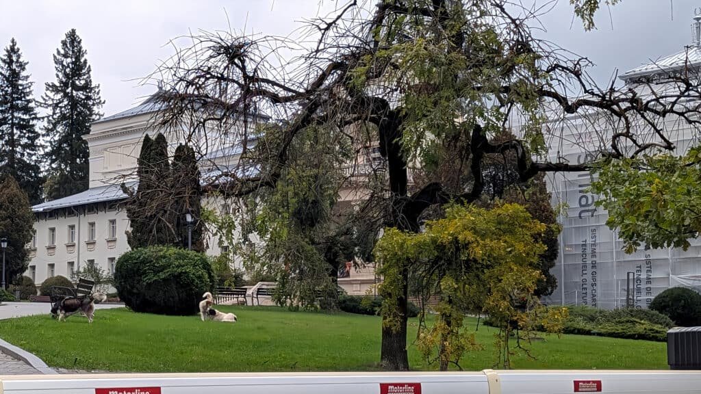 Casino of Sinaia - undergoing some renovation in Dimitrie Ghica Park