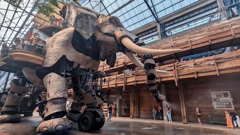 nantes elephant inside the gallery spraying water wide