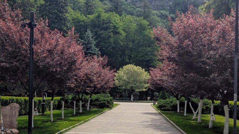 Borjomi - colourful trees in the Park of this spa town in Georgia. One of a number of day trips from Tbilisi