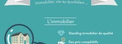 article infographie vignette