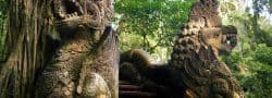 Forêt des Singes, Ubud