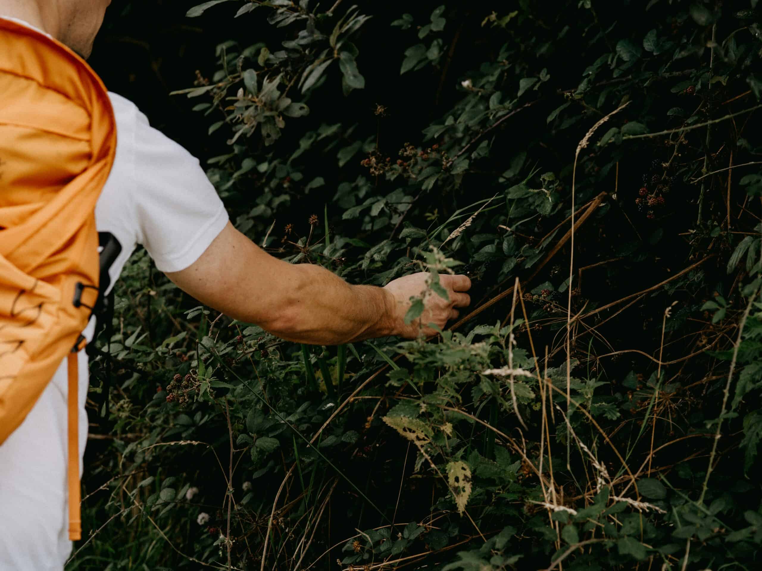Best Bug Repellent for Hiking in 2026: Effective Protection, Skin-Safe Formulas, and Coverage That Lasts