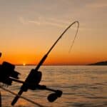 best fishing rod and reel combos for beginners in 2026