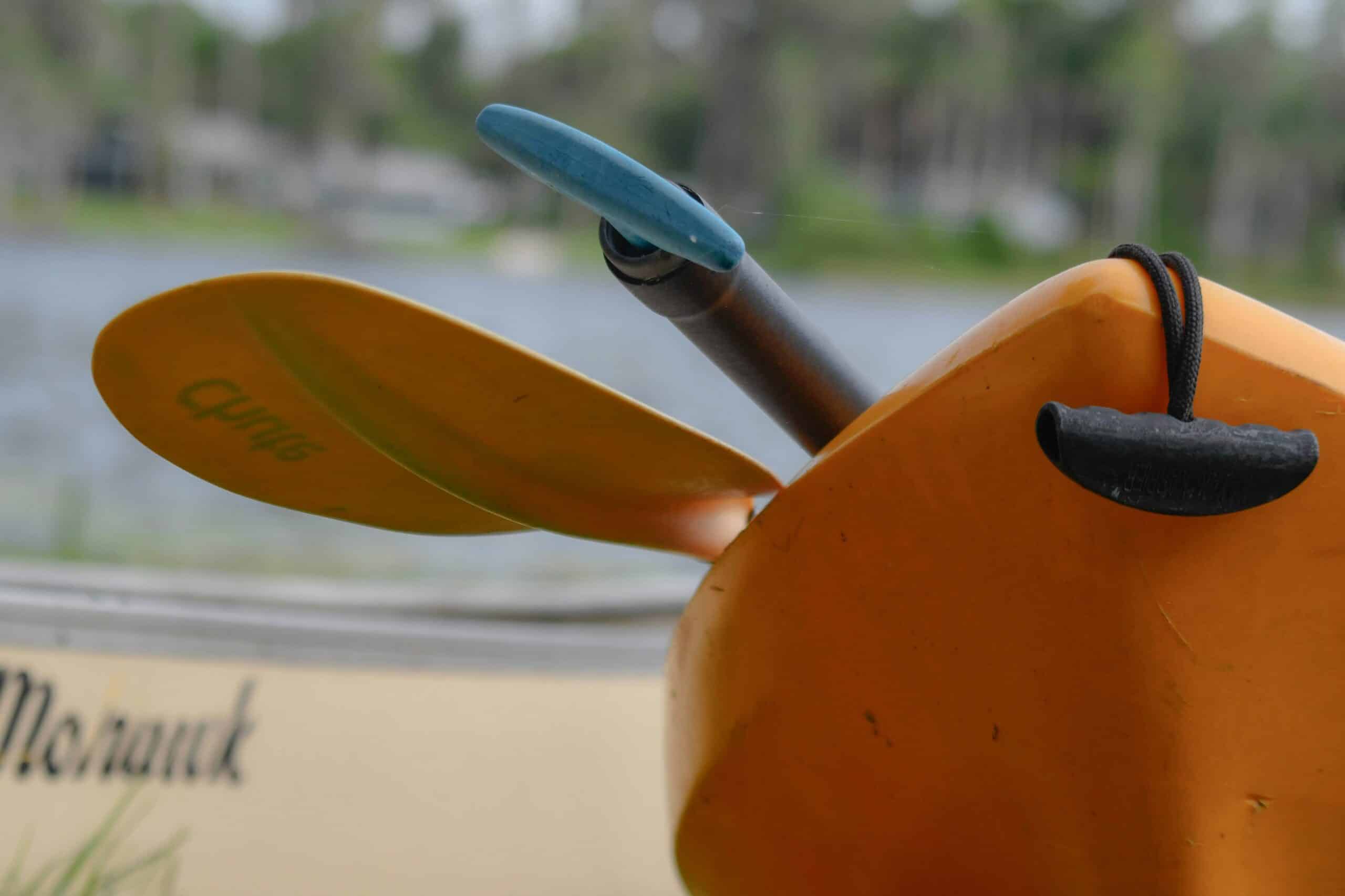 Best Kayak Paddles for Beginners in 2026: 5 Picks for Comfort, Durability, and the Right Length for Your Body