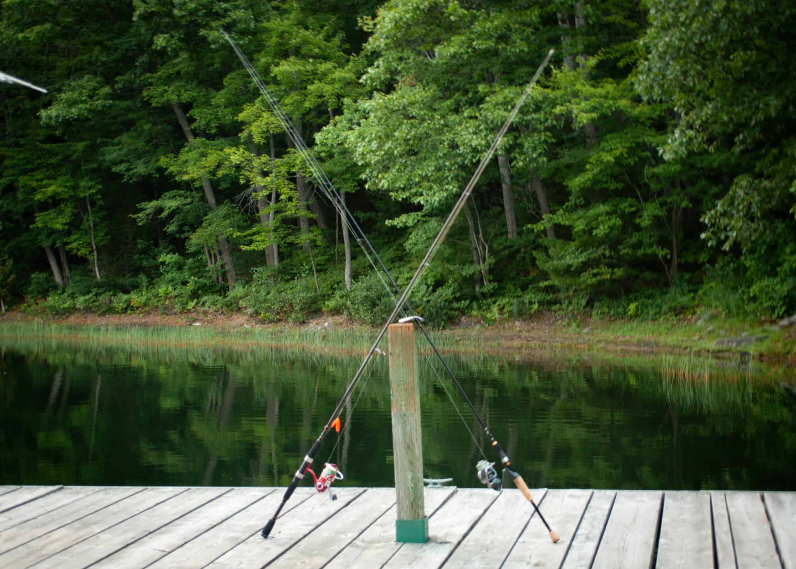 Best Baitcasting Reels for Beginners in 2026: 5 Top-Rated Picks for Casting Accuracy, Power, and Manageable Learning Curves