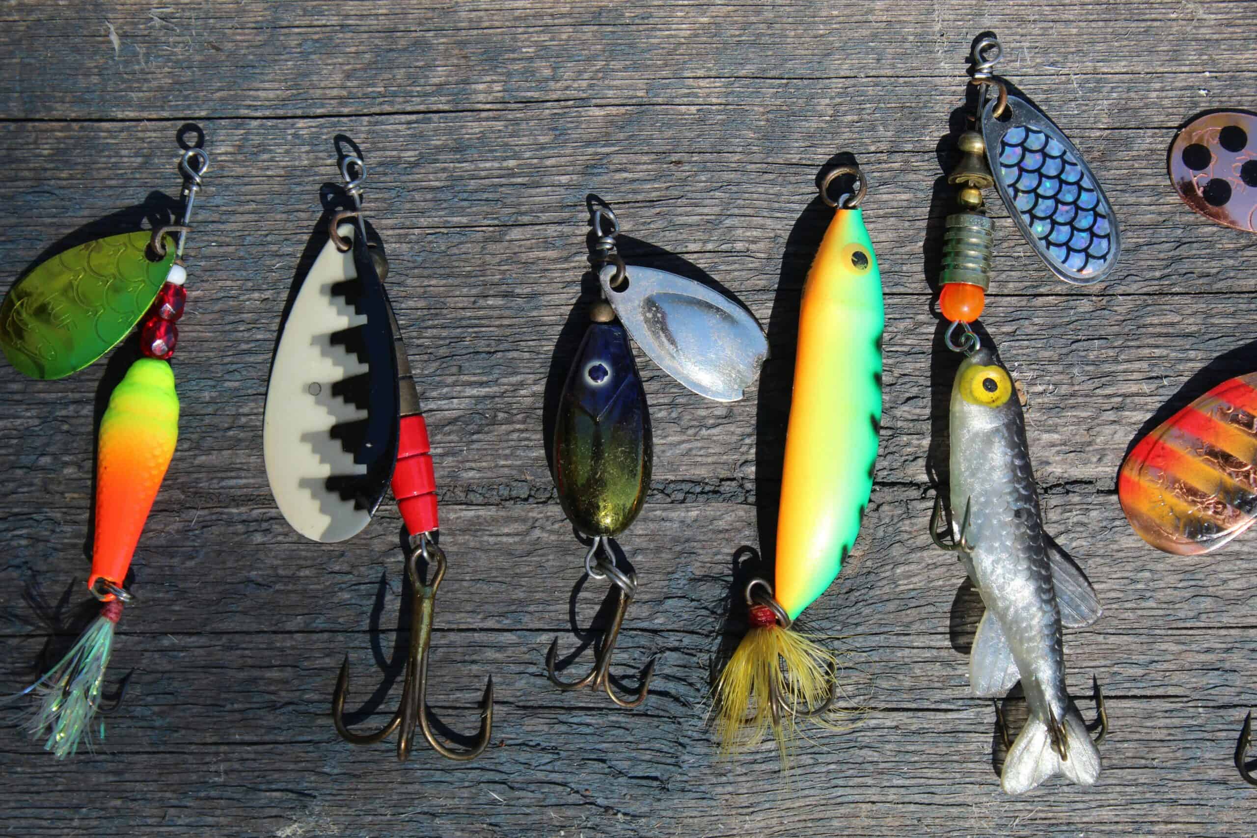 Best Fishing Lures for Bass in 2026: 5 Top-Rated Picks for Topwater, Jerkbaits, and Year-Round Bass Fishing