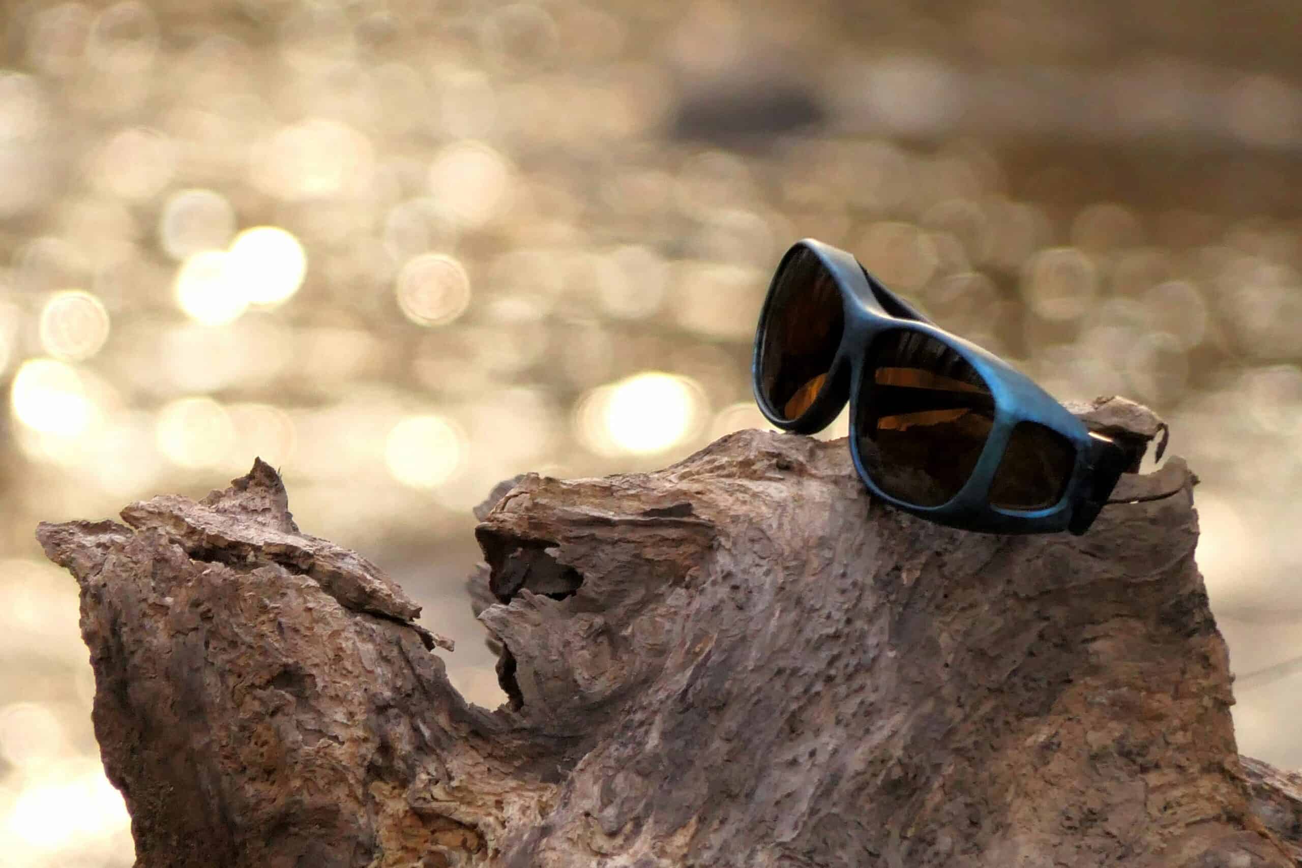 Best Polarized Fishing Sunglasses in 2026: 5 Top-Rated Picks for Sight Fishing, Glare Reduction, and All-Day Comfort