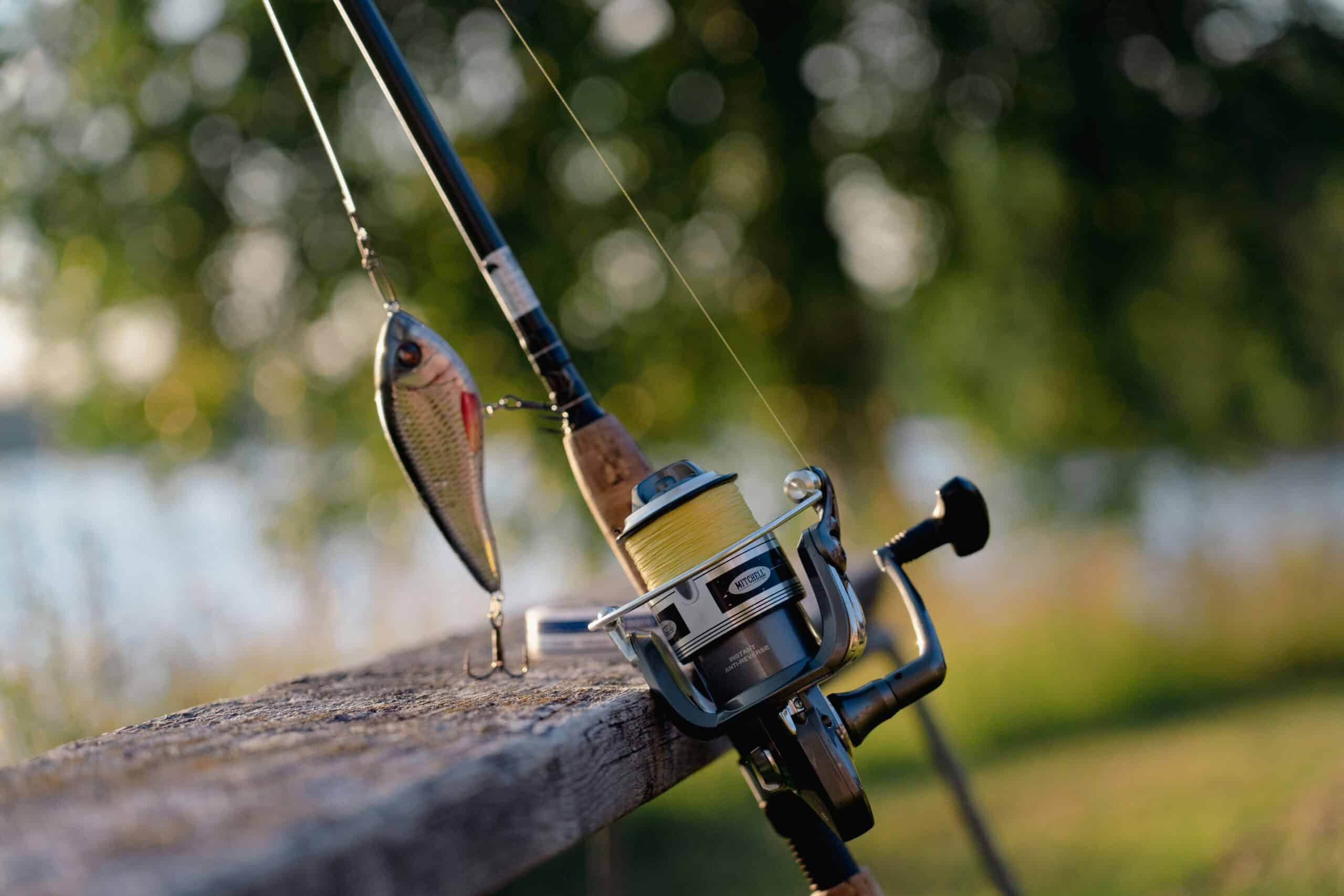 How to Clean a Fishing Reel: Step-by-Step Maintenance