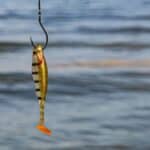 how to bait a hook