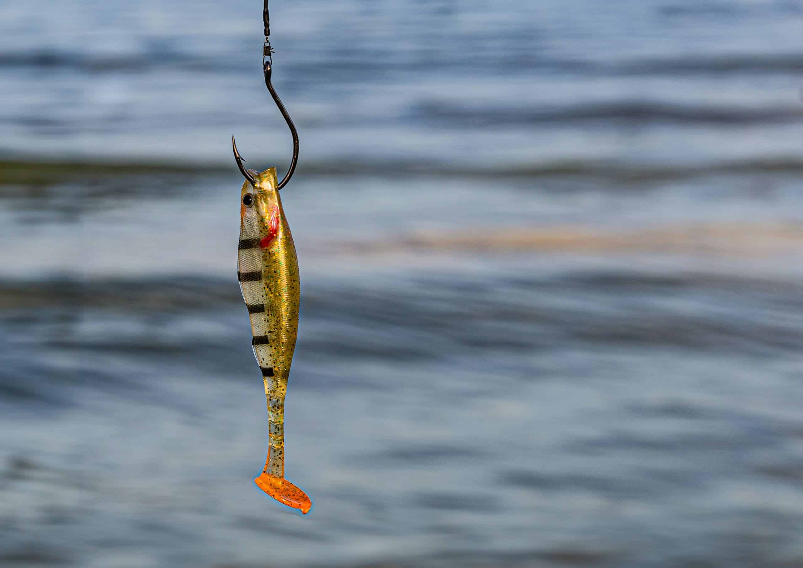 Zero Slip: The Mechanical Guide to Baiting a Hook for Maximum Presentation