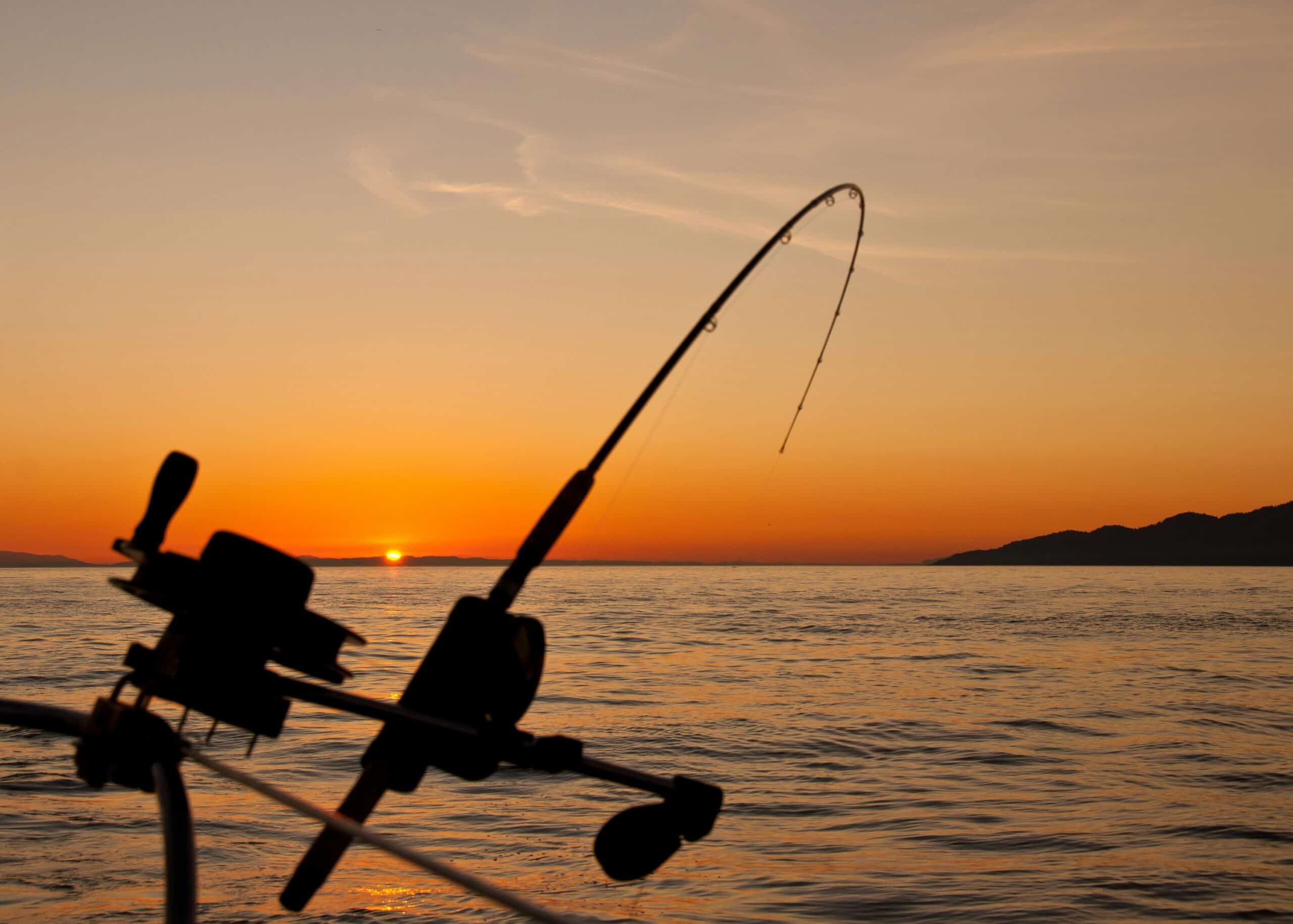 The Perfect Strike: How to Set the Hook When Fishing