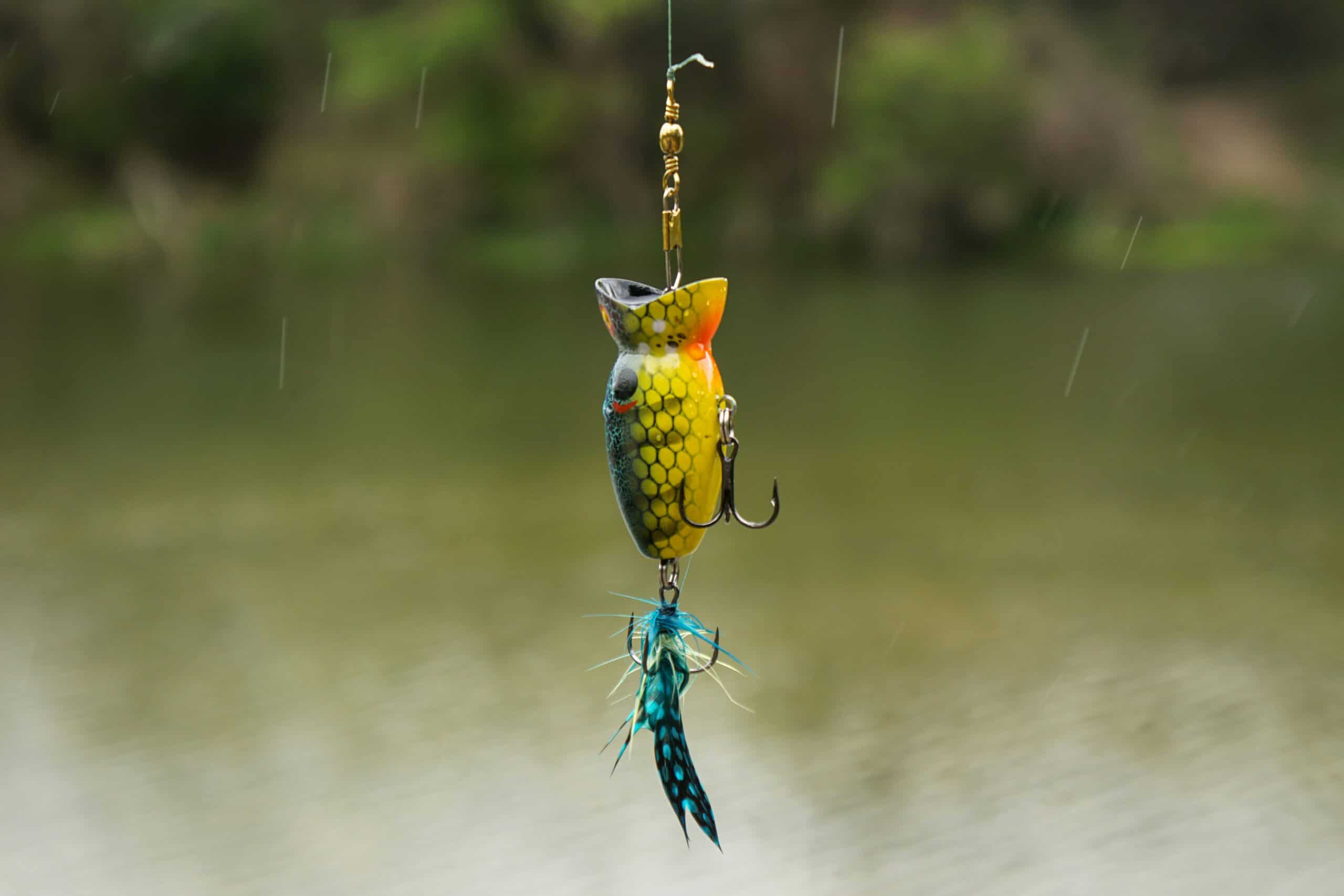 How to Save a Slow Day: Why Fish Aren’t Biting