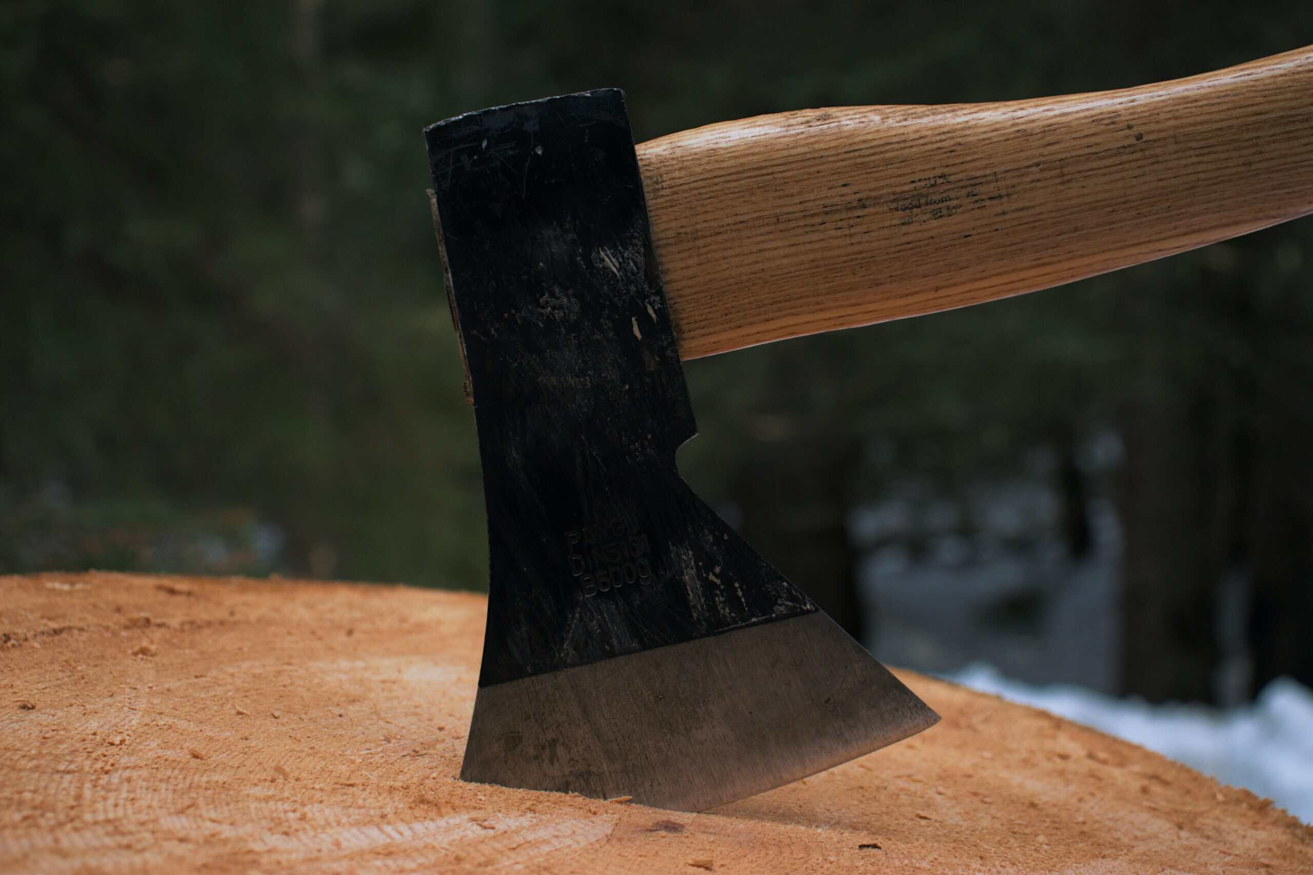 Best Bushcraft Axes in 2026: Hatchets and Forest Axes for Camp and Trail