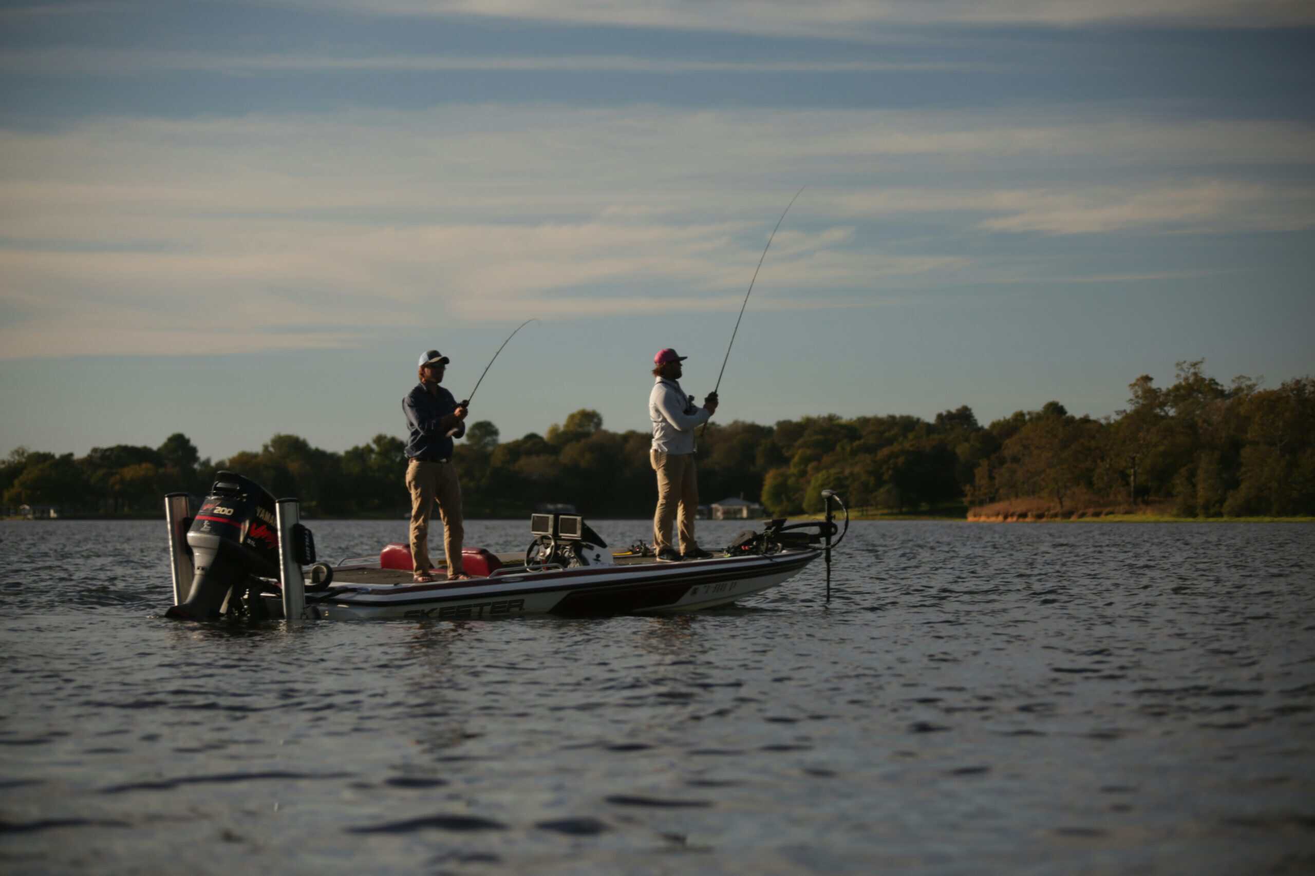 Best Jigs for Bass in 2026: The Year-Round Big-Fish Bait